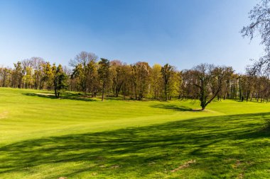 Çek Cumhuriyeti Silherovice Chateau yakın arka planda ağaçlar ve açık gökyüzü ile Golf Sahası üzerinde taze bahar çim