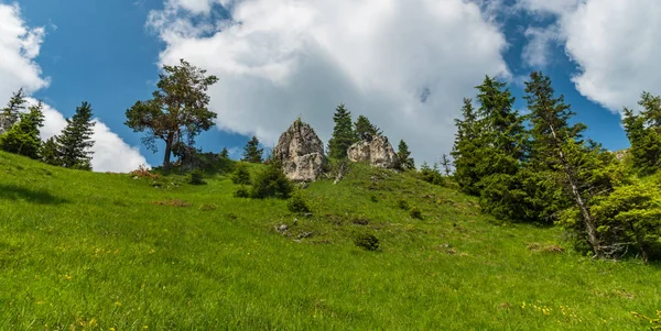 Jarní pohoří Velka Fatra na kopci v slov — Stock fotografie