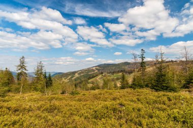 Polonya'da Skrzyczne tepe ile bahar Beskid Slaski dağlar sahne
