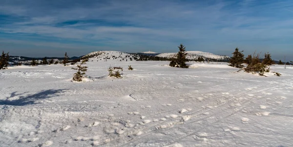 체코 의 페치 언덕에서 겨울 예세니키 산맥 파노라마 — 스톡 사진