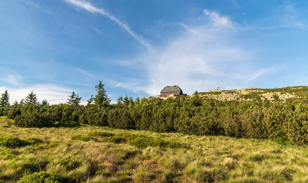 Szrenica-kullen i Karkonosze-bergen i Polen — Stockfoto