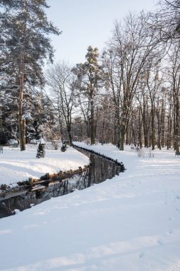 dere, kar, ağaçlar ve mavi gökyüzü ile kış manzarası