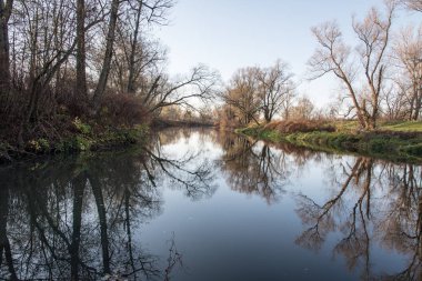 Sonbaharda Çek Cumhuriyeti'nin Karvina kasabası yakınlarındaki su zemininde aynaya yansıyan ağaçlarla olse nehri