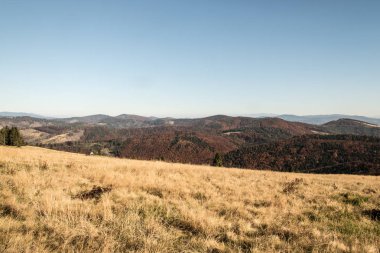 autumn Beskid Zywiecki mountains from Hala na Malej Raczy on polish - slovakian borders clipart