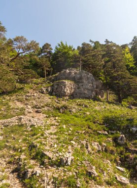 Slovakya 'daki Velka Fatra dağlarındaki kireçtaşı kayaları, çimenler, ağaçlar ve berrak gökyüzü manzarası