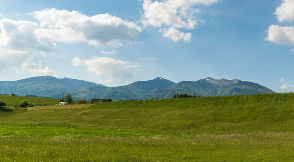 Krivanska Mala Fatra bergen van weide in de buurt Krpelany dorp in Slowakije — Stockfoto
