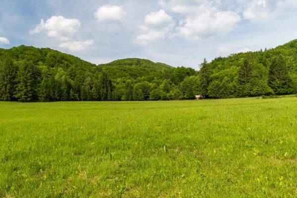 Lente berglandschap met weide en heuvels bedekt door dee — Stockfoto