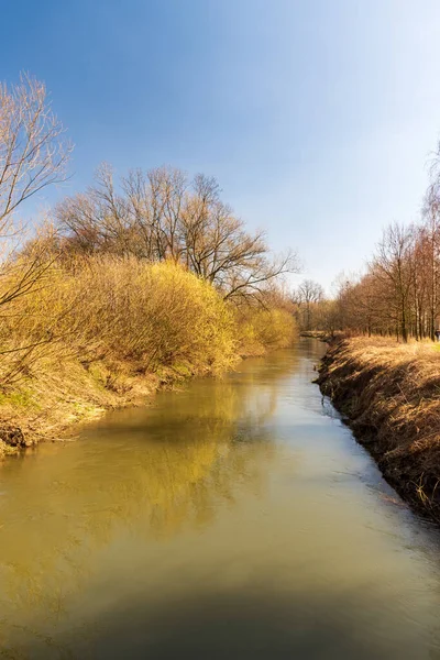 Odra folyó kora tavasszal Chko Poodri a Cseh Köztársaságban — Stock Fotó