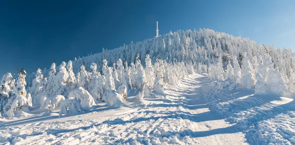 Lysa hora hill im Winter moravskoslezske beskydy Berge in der Tschechischen Republik — Stockfoto