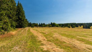 İzole edilmiş ağaçları, ormanı ve açık gökyüzü olan dağlık çayır Çek Cumhuriyeti 'nin Krusne azgın dağlarındaki Rolava köyünün üzerinde.