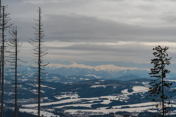 Vista Para Krivanska Mala Fatra Gama Montanhas Eslováquia Partir Velky — Fotografia de Stock