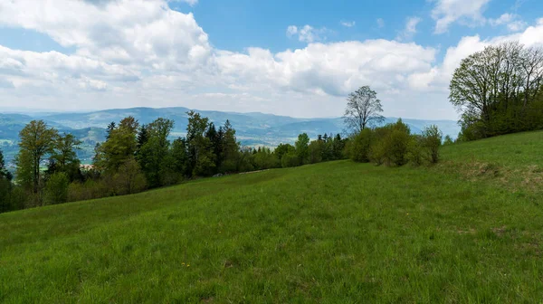 Moravskoslezskeの木と丘を持つ山の牧草地チェコ共和国のSlezske Beskydy山のBahenecの背景にあるBeskydy山 — ストック写真