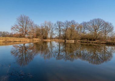 Çek Cumhuriyeti 'nin Ostrava kenti yakınlarındaki CHKO Poodri' de ağaçlar ve gökyüzü yansıması ile Prutnik göleti