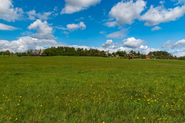 Frühling Ländliche Landschaft Mit Wiese Ein Paar Häusern Bäumen Und — Stockfoto