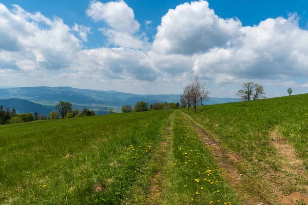 美しい春の日の間にチェコ共和国の背景にMoravskoslezke Beskydyの山々を結ぶスレーツケのBahenecにいくつかの木と山の牧草地 — ストック写真