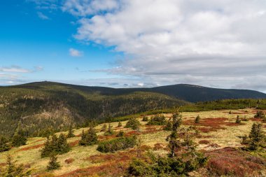 Vozka ve Keprnik tepelerine Vresova studanka 'nın yukarısındaki Cervena hora tepesinden Çek Cumhuriyeti' nin Jeseniky dağlarına bakın.