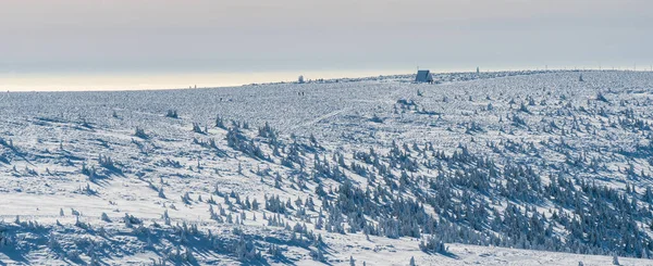 Замороженный Холм Высока Прада Холма Зимние Есеники Чешской Республике — стоковое фото