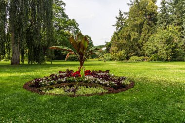 Almanya 'nın Greiz kasabasındaki güzel Greizer Stadt Parkı' nda çiçekler, ağaçlar ve çayırlarla