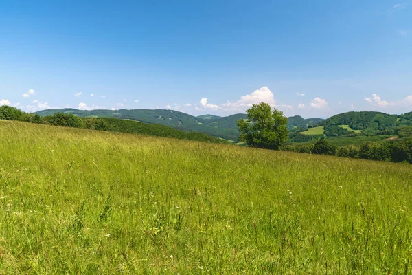 Prachtige Biele Karpaty Bergen Met Heuvels Begeerd Door Mix Van — Stockfoto