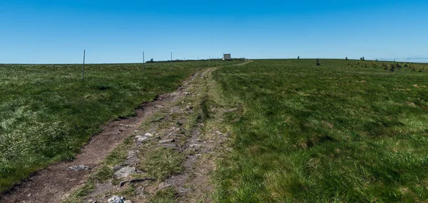 Vysoka Hål Kulle Jeseniky Bergen Tjeckien Med Vandringsled Äng Liten — Stockfoto