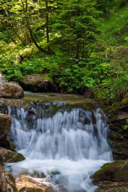 Slovakya 'daki Terchova tatil köyü yakınlarındaki Mala Fatra dağlarındaki Nove Diery vadisinde küçük şelale ve orman.