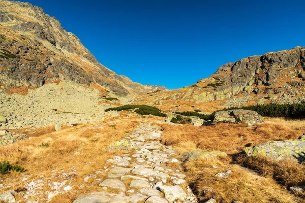 Amazing Mlynicka Dolina Valley Autumn Vysoke Tatry Mountains Slovakia — Stock Photo, Image