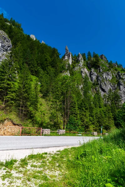 Slovakya 'nın Mala Fatra dağlarında yol ve kayalarla dolu Vratna dolina vadisi açık gökyüzü ile yaz sabahı boyunca
