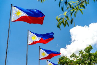 Filipinler rüzgarda uçan Türkiye Ulusal bayrak