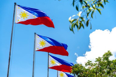 Filipinler rüzgarda uçan Türkiye Ulusal bayrak