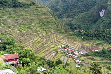 Banaue Pirinç Teras, Filipinler, güzel manzara