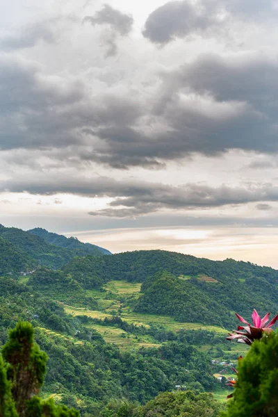Wunderschöne Landschaft Auf Der Reisterrasse Von Banaue Philippinen — Stockfoto