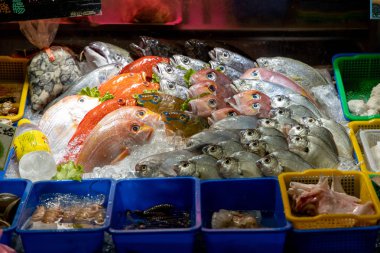 Pazarda buzlu taze balık, Taipei