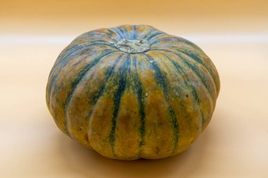 Filipinler 'de nefis sebze kabağı