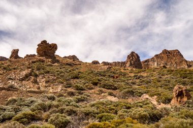 Los Azulejos Tenerife, İspanya Teide parkta yeşil taşlar görünümünü