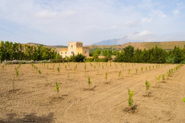 Bir alan olan genç elma ağaçlarının Campofelice di Rossaria Sicilya yakınındaki Garbonogara Kalesi önünde görünümünü