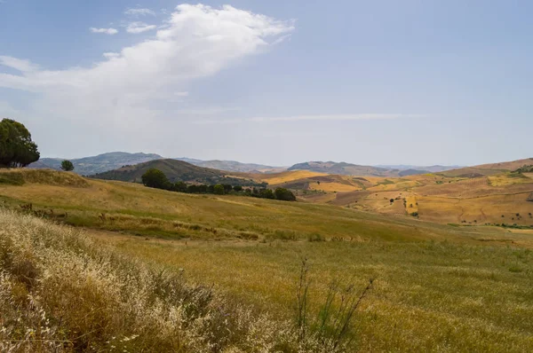 Θέα Στην Εξοχή Πεδία Και Λόφους Στην Περιοχή Του Vicari — Φωτογραφία Αρχείου