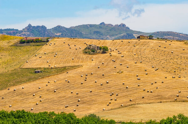 View of a field of straw bales in the countryside of northern Sicily near Casaro