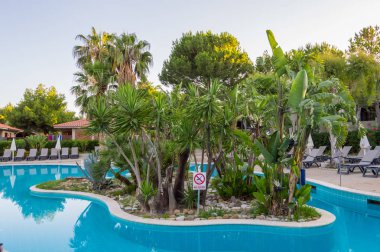 Şezlong ve palmiye ağaçları ve ağaç her türlü bir bitki örtüsü ile gündoğumu bir havuzun ortasında palmiye ağacı küçük ada