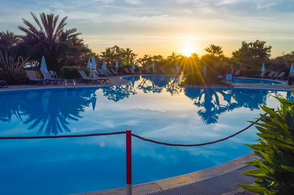 Piscina All Alba Con Lettini Palme Tutti Tipi Alberi — Foto Stock