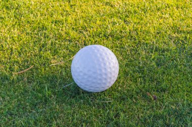 Golf topu Tenerife Island Santa Cruz yakınındaki bir tabii çimenlerin üzerinde