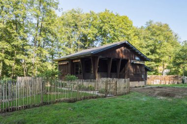 Bir ormandaki bir bambu çit ve ormanda kesim yığını ile ahşap yazlık ev