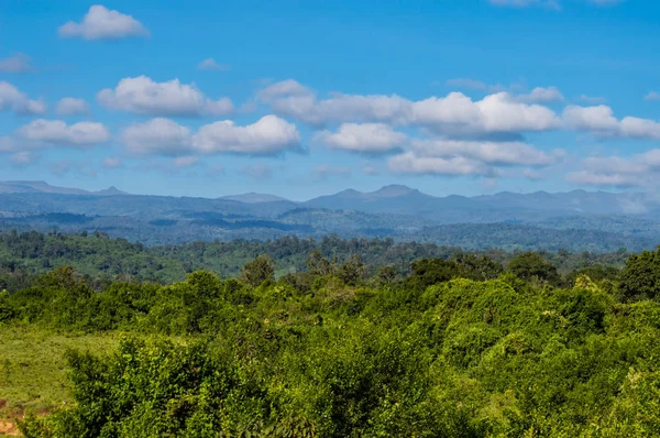 Uitzicht Het Bos Bergen Van Aberdare Park Centraal Kenia — Stockfoto
