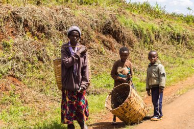 KENYA, THIKA - 03 Ocak 2019: Yaşlı kadın ve iki çocuğu Afrika 'nın orta kesimindeki Kenya' da bir yolda hasır sepetleriyle çay yaprakları için hazırlar