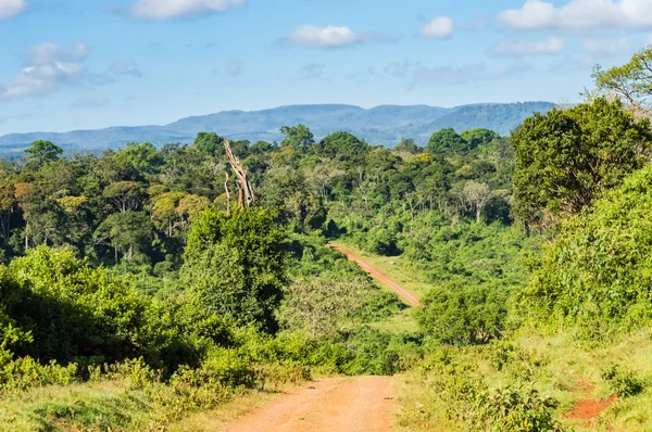 Vista del bosque y las montañas de Aberdare — Foto de Stock