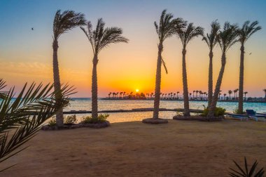 Palmiye ağaçlarının bir satır boyunca Hurghada bir yarımadada gündoğumu
