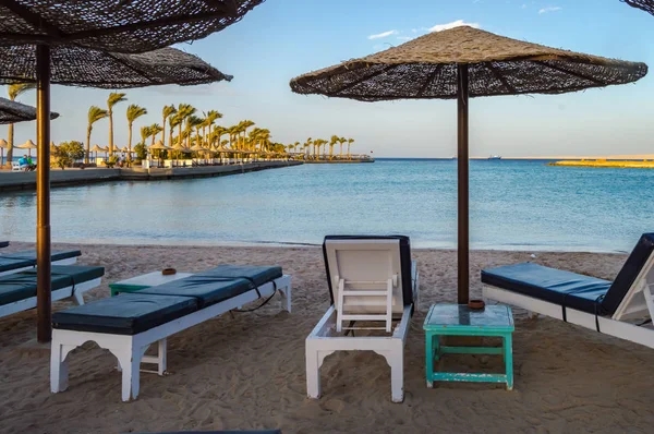 Sedie a sdraio e ombrelloni su una spiaggia del Mar Rosso — Foto Stock