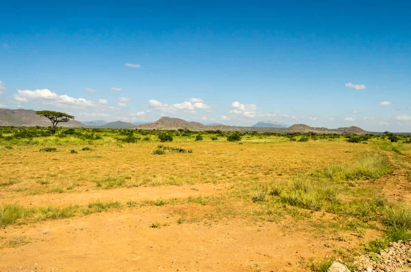 View of the trails and savannah — Stock Photo, Image