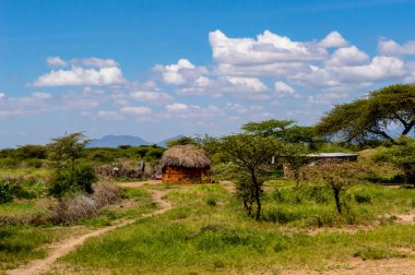 Afrika geleneksel hut, kenya. 
