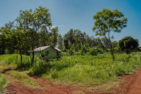 House in rural Kenya, Africa. A house in rural Kenya, Africa.