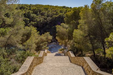 Cala FALC O Steps ' Alga herhangi bir olmadan alt görüldü